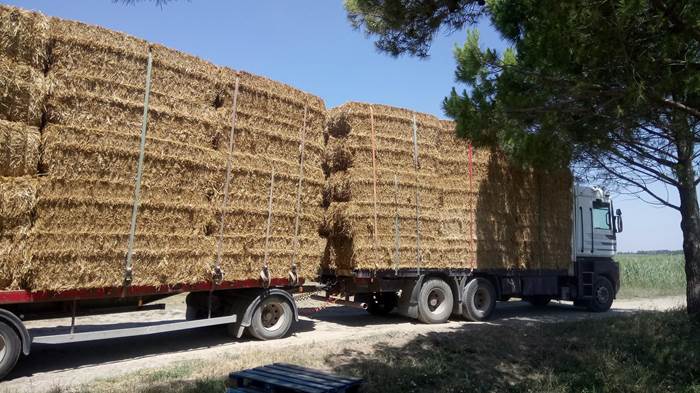 Camion de paille